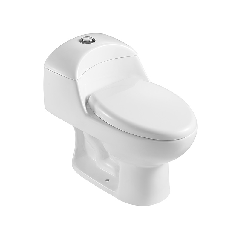 Classic One-piece Standard Height Elongated Toilets with 300mm Rough-in, Dual-flush - FR15101