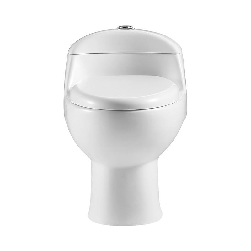 Classic One-piece Standard Height Elongated Toilets with 300mm Rough-in, Dual-flush - FR15101