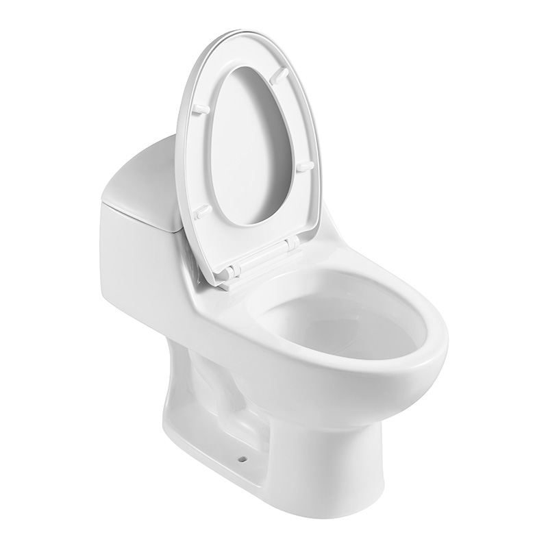 Classic One-piece Standard Height Elongated Toilets with 300mm Rough-in, Dual-flush - FR15101