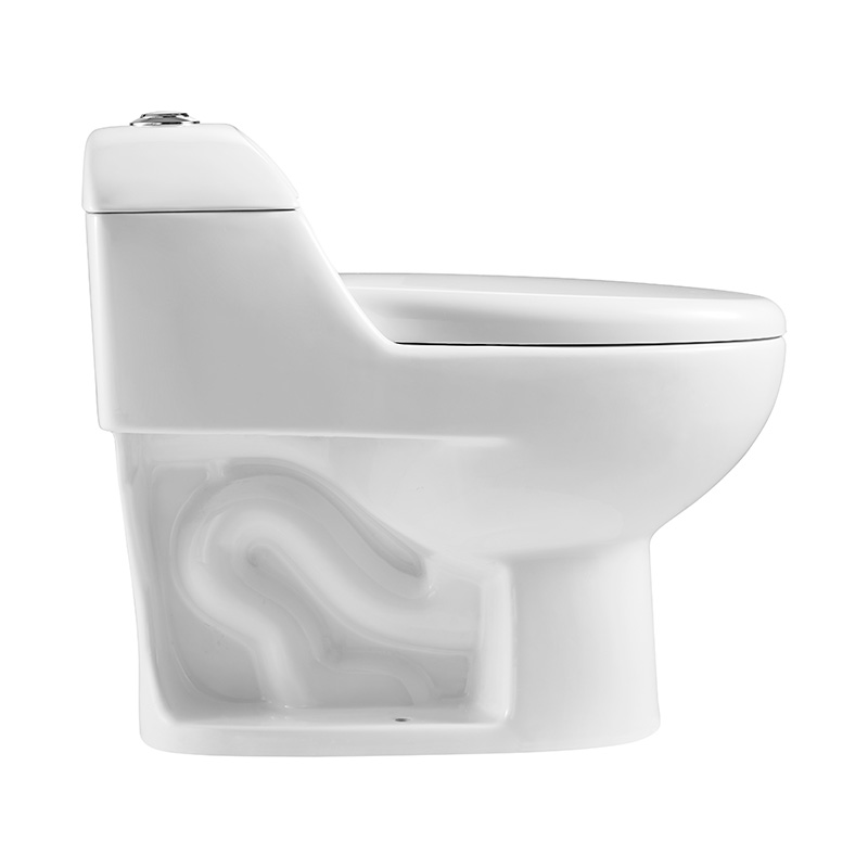 Classic One-piece Standard Height Elongated Toilets with 300mm Rough-in, Dual-flush - FR15101