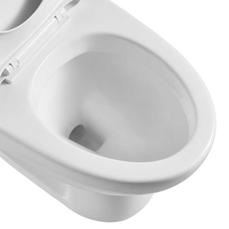 Classic One-piece Standard Height Elongated Toilets with 300mm Rough-in, Dual-flush - FR15101