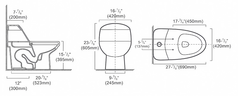 Classic One-piece Standard Height Elongated Toilets with 300mm Rough-in, Dual-flush - FR15101