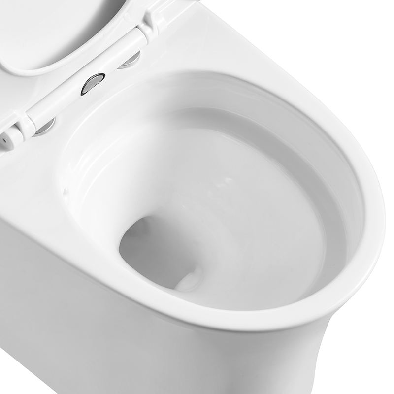 Twist-Vortex Flushing Elongated Toilets with 220/300mm Rough-in, Dual-flush - FL0008
