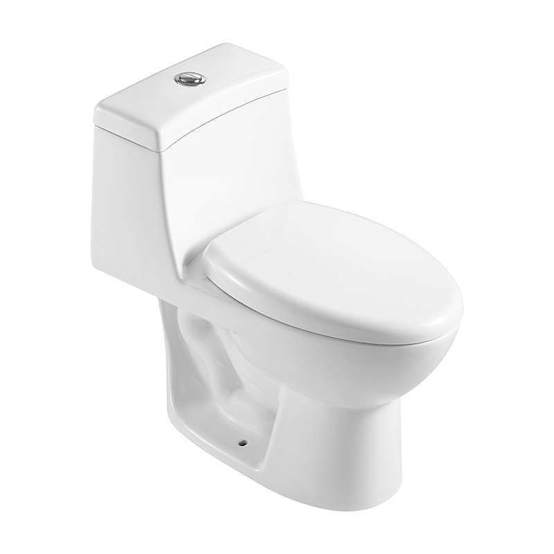 Traditional Trapway Elongated Toilets with 300mm Rough-in, Dual-flush - FL0006