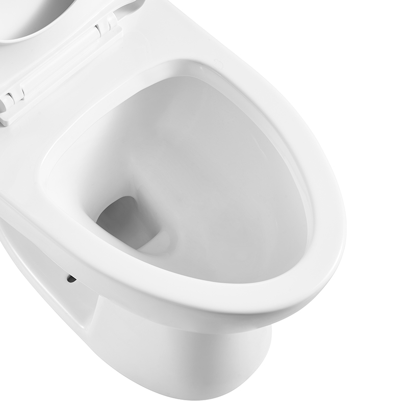 Traditional Trapway Elongated Toilets with 300mm Rough-in, Dual-flush - FL0006