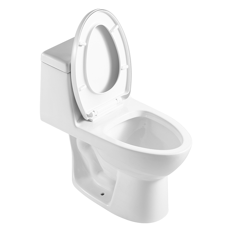 Traditional Trapway Elongated Toilets with 300mm Rough-in, Dual-flush - FL0006