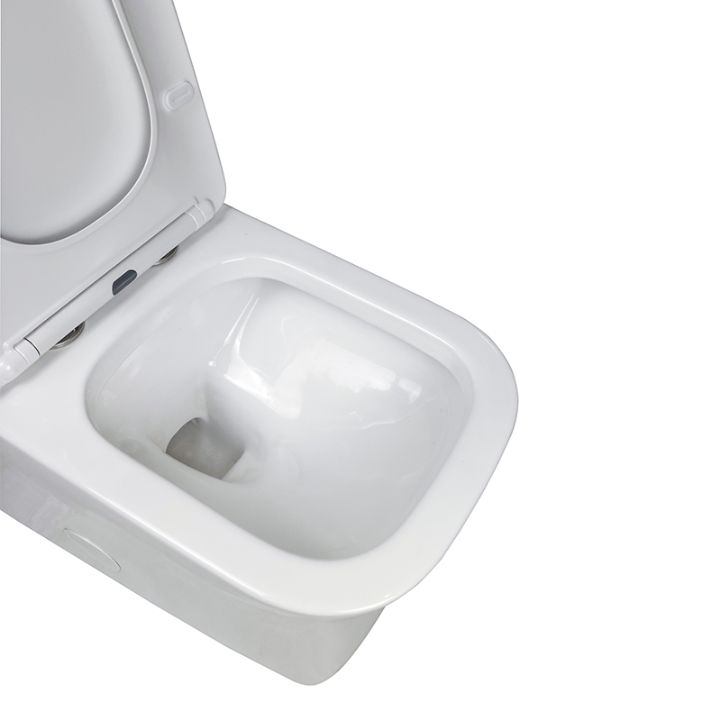Siphonic Flush Square and Sleek Seamless Design One-piece Toilets - FL0010