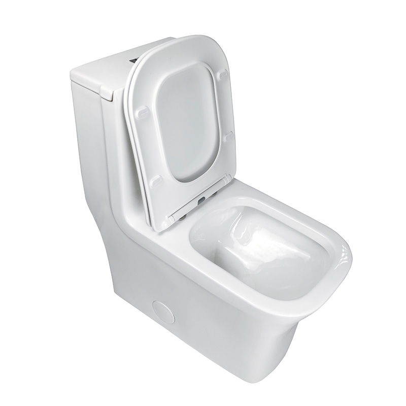Siphonic Flush Square and Sleek Seamless Design One-piece Toilets - FL0010