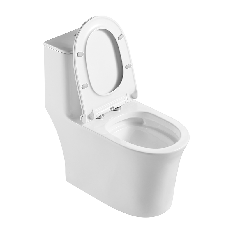 Smooth Rounded Edges One-piece Elongated Toilets with Siphonic Votex Flush - FL0012