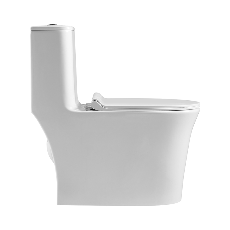 Smooth Rounded Edges One-piece Elongated Toilets with Siphonic Votex Flush - FL0012