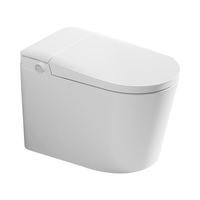 FRBKW01 Power Outage Toilet, Manual Wash & Kick Flush for Low Water Pressure