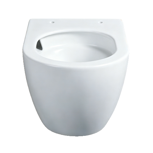 FRHB2481 Wall Hung Toilet | Modern Oval Ceramic WC Pan