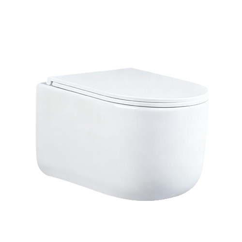 FRHB2485 Wall Hung Toilet | Modern Rounded Ceramic WC Pan