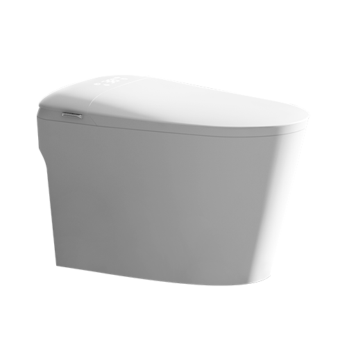 FRBKE41 Smart Toilet with Adjustable Water Pressure & Heated Seat