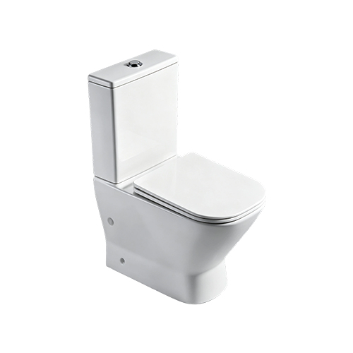 FR24109 | Two-Piece Toilet