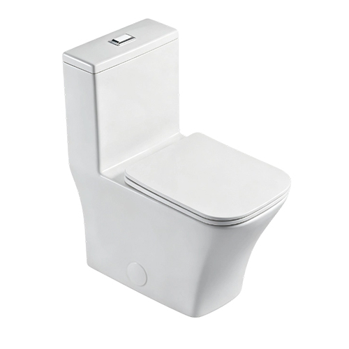 FR24105-1 | One Piece Toilet