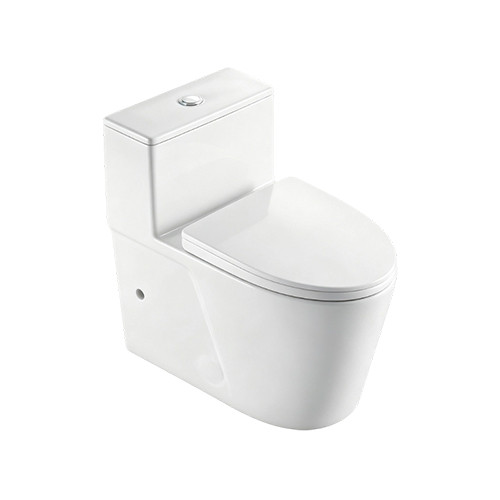 FR15213 | One Piece Toilet